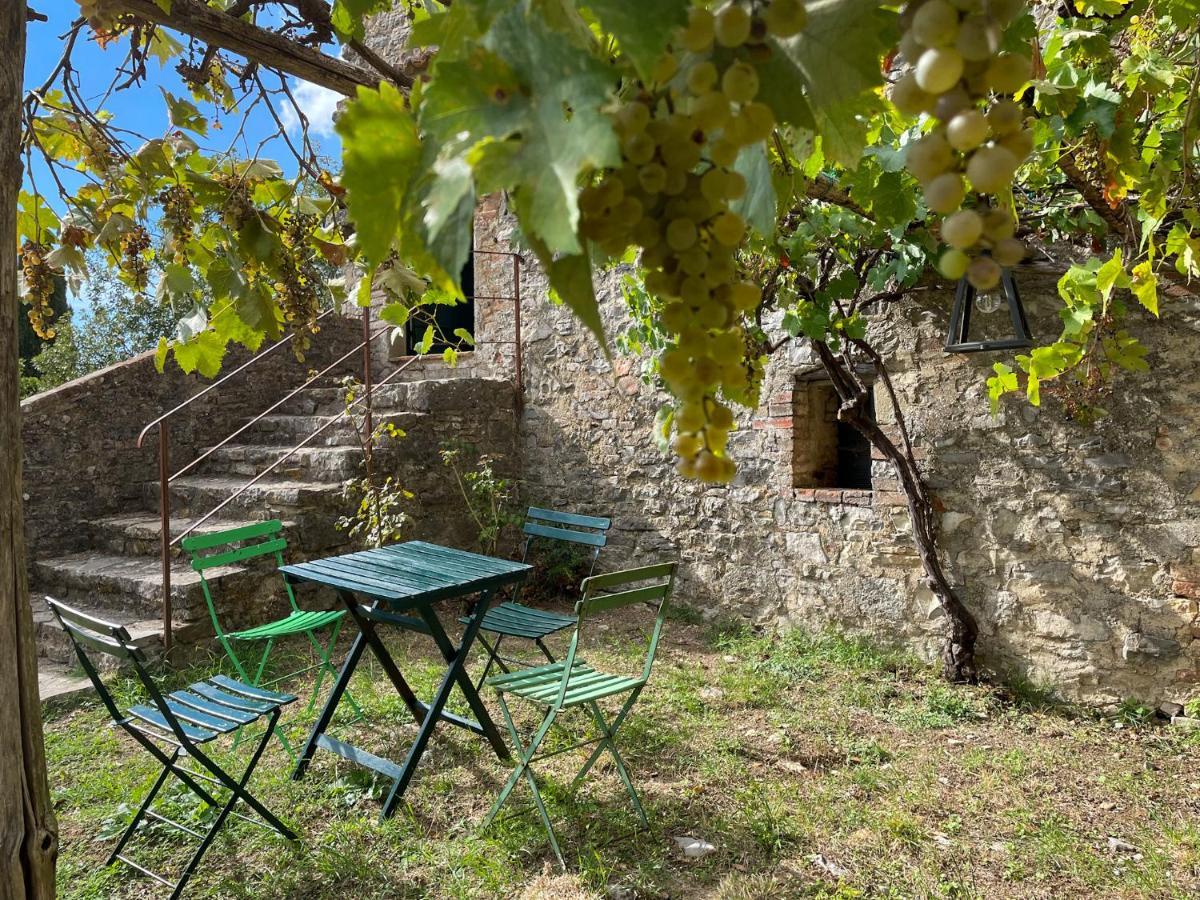 Farm stay Cetamura